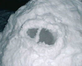 雪だるまその6裏